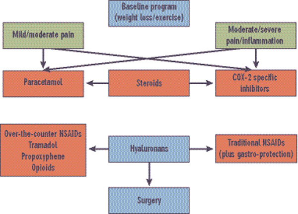 Osteoarthritis Treatment Guidelines