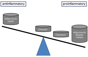 Figure 3: Imbalance of pro- and antiinflammatory adipokines in rheumatoid synovium.