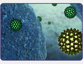 hepatitis