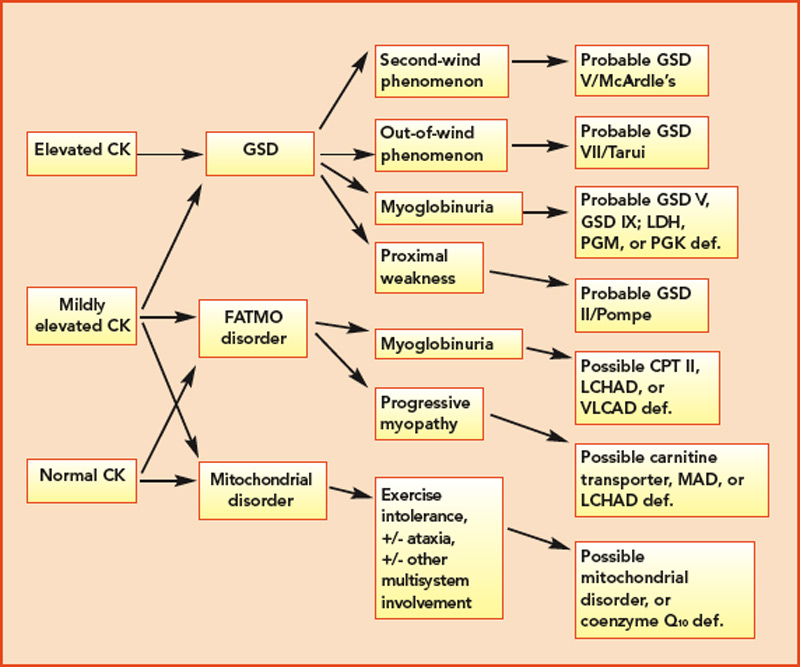 http://polynomiography.com/pdf.php?q=%D1%83%D0%BB%D1%82%D1%83%D1%80%D0%B3%D0%B0%D1%88%D0%B5%D0%B2-%D1%80%D0%B8%D0%B3%D0%BE%D1%80%D0%B8%D0%B9-%D0%B0%D0%B2%D1%80%D0%B8%D0%BB%D0%BE%D0%B2%D0%B8%D1%87-%D1%83%D1%87%D0%B5%D0%BD%D1%8B%D0%B9-%D0%BE%D0%B1%D1%89%D0%B5%D1%81%D1%82%D0%B2%D0%B5%D0%BD%D0%BD%D1%8B%D0%B9-%D0%B4%D0%B5%D1%8F%D1%82%D0%B5%D0%BB%D1%8C-%D0%BF%D0%B5%D0%B4%D0%B0%D0%B3%D0%BE%D0%B3/