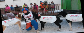 Ms. Abbott with her dog team at the start of the 2014 Iditarod.