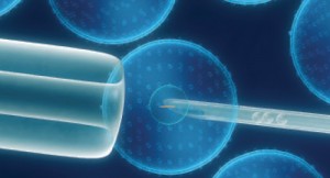 Gene Manipulation Has Potential to Alter Genomes, Impact Society