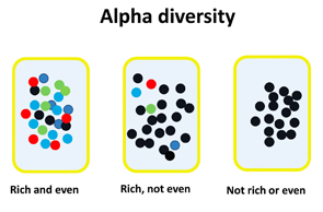 Figure 2: Illustration of the concepts of richness and evenness within alpha diversity. Richness refers to the variety of different organisms; evenness refers to the distribution of the organisms within the population.