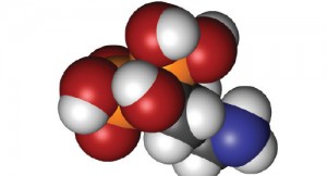 New Bisphosphonate Therapy Recommendations for Postmenopausal Osteoporosis