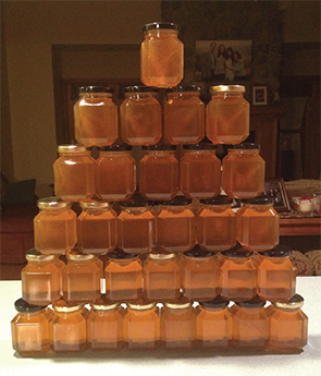 Last year, Dr. Ritchlin and his daughter bottled 88 jars of honey for family and friends.