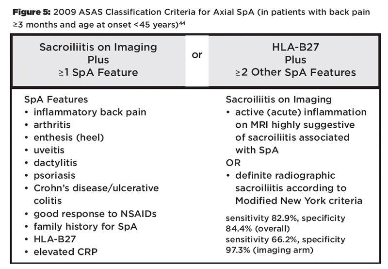 How Hla B27 Research Landmarks Advances Relate To Ankylosing Spondylitis Pathogenesis Page 7 Of 9 The Rheumatologist