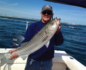 Dr. Coblyn catching striped bass and bluefin tuna in Cape Cod Bay.