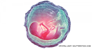 crystal light / shutterstock.com
