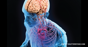 Mopic / shutterstock.com