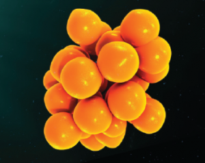 A 3D illustration of cytokines.