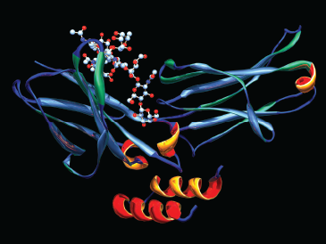 Rituximab drug molecule