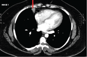 The Diagnostic View: Assess Your Rheumatology Knowledge