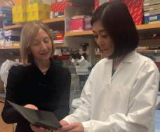 Dr. Gravallese and Yukiko Maeda, PhD, instructor in medicine in the Gravallese laboratory, review data.