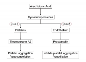 Mechanism of Action