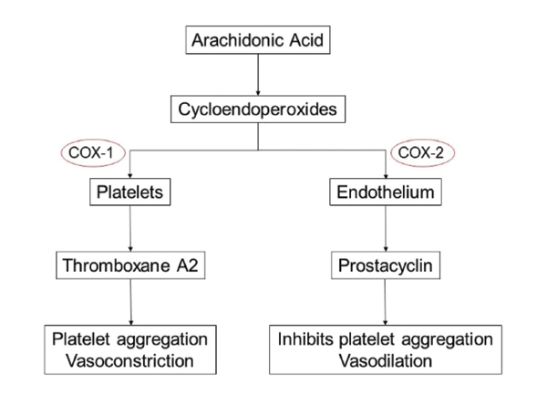 75+ Cox Nsaids