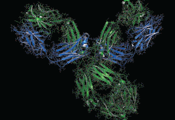 A 3-D rendering of pembrolizumab monoclonal antibody drug protein, an immune checkpoint inhibitor targeting PD-1.