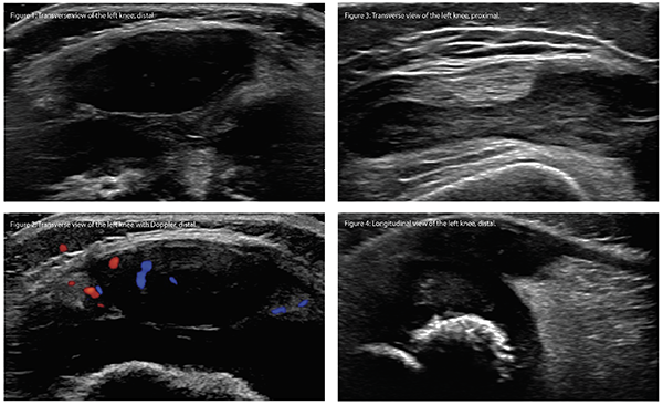 The Diagnostic View