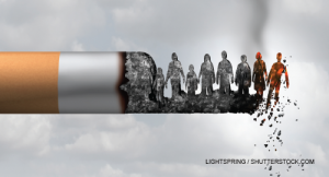 Lightspring / shutterstock.com