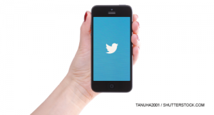 tanuha2001 / shutterstock.com