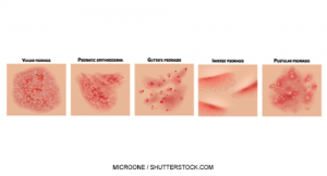 MicroOne / shutterstock.com