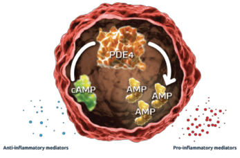 Figure 1: Mechanism of PDE45