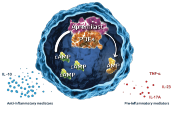 Figure 2: Inhibition of PDE4 by Apremilast5