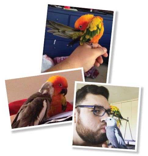 Dr. Jonathan Paramo: Rheumatologist & Parrot Enthusiast