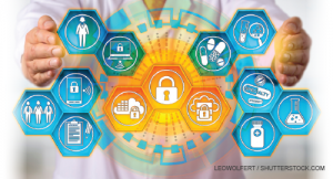 LeoWolfert / shutterstock.com