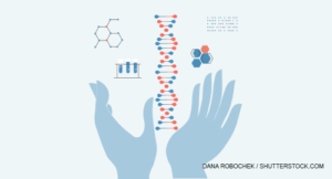 Dana Robochek / shutterstock.com