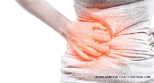 okawa somchai / shutterstock.com