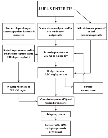 Figure 4: Proposed Treatment Algorithm for SLE Patients with Lupus Enteritis3