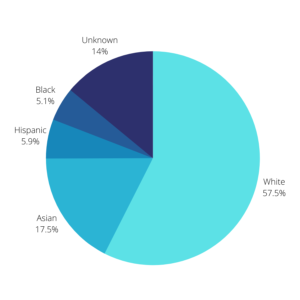 Pie graph showing demographic identify of U.S. physicians in 2018.