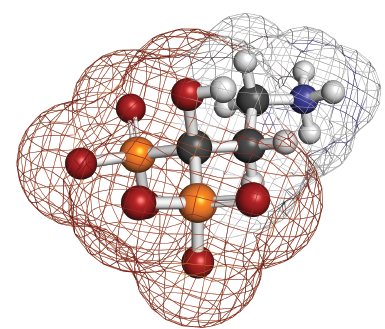 A representation of pamidronic acid, a bisphosphonate used to treat osteoporosis.