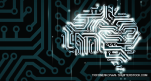 TrifonenkoIvan / shutterstock.com