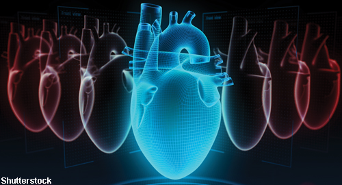 Heart to Heart: Cardiovascular Disease in Autoimmune Conditions - The  Rheumatologist