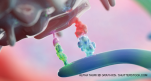 Alpha Tauri 3D Graphics / shutterstock.com
