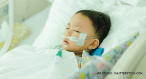MIA Studio / shutterstock.com