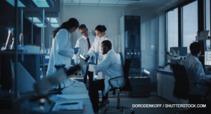 Gorodenkoff / shutterstock.com