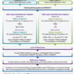 Figure 2: 2024 ACR Lupus Nephritis Guideline—Treatment Overview. Source: American College of Rheumatology