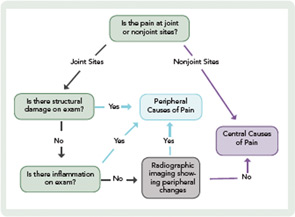 Pain assessment strategy for patients with RA. Pathways are not mutually exclusive, and patients can have both peripheral and central causes of pain simultaneously.