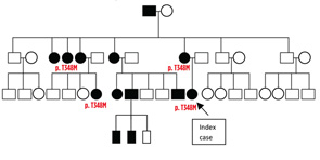 Figure 4: The family tree of an Israeli family with CAPS. Filled squares/circles indicate affected members. The affected members with genetic diagnosis are indicated with the mutation. Figure courtesy Dr. Yael Shinar, Sheba Medical Center, Tel-Hashomer, Israel.
