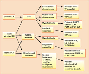 Figure 1: Schematic for the investigation of likely causes for metabolic myopathies, given presence or absence of CK elevations. def.=deficiency.