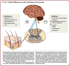 FIGURE 1: Neural Influences on Pain and Sensory Processing.