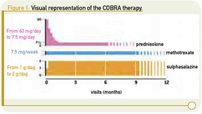 Figure 1: Visual representation of the COBRA therapy.