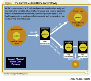 Figure 1: The Current Medical Home Care Pathway