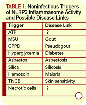 TABLE 1: Noninfectious Triggers of NLRP3 Inflammasome Activity and Possible Disease Links