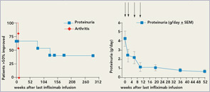 FIGURE 1: Left: Percent of patients with lupus arthritis (red) or lupus nephritis (blue) with significant (>50%) reduction from baseline swollen joint counts or proteinuria, respectively. Right: Time course of proteinuria in patients responding to four infusions of infliximab (symbolized by arrows).