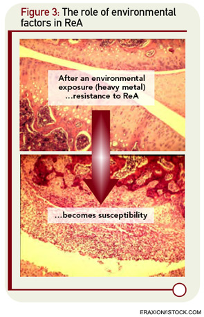 Figure 3: The role of environmental factors in ReA