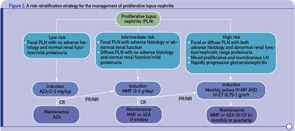Figure 2: A risk-stratification strategy for the management of proliferative lupus nephritis.