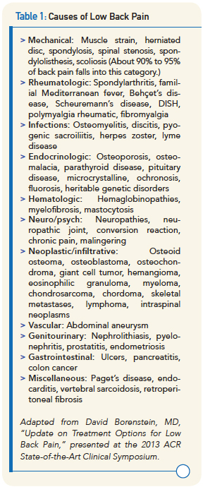 Causes of Low Back Pain